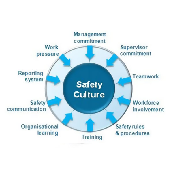 Safety Culture Wheel At Ken Escobar Blog